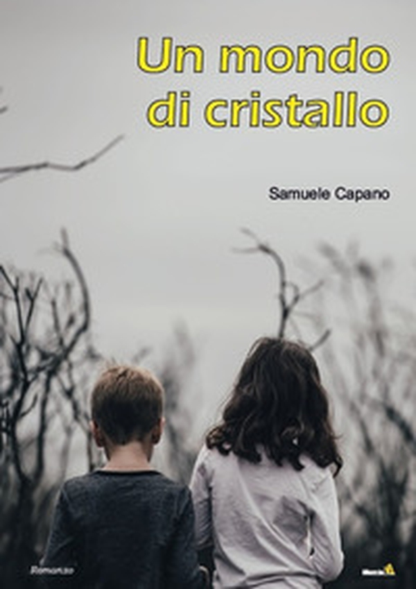 Un mondo di cristallo - Librerie.coop
