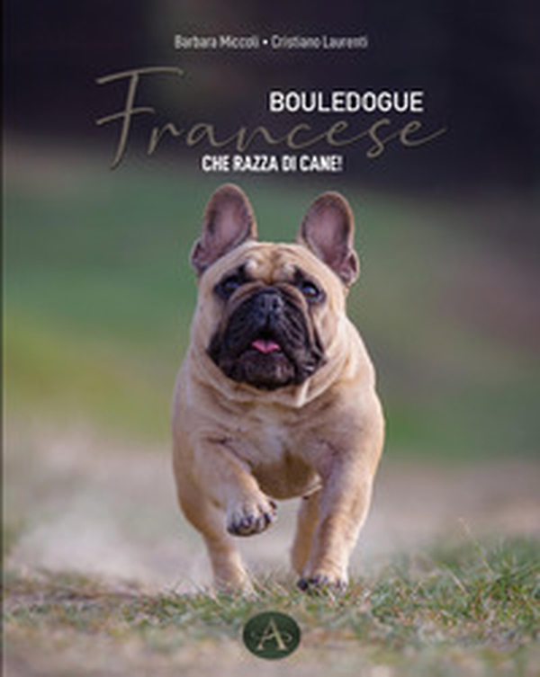 Bouledogue francese. Che razza di cane! - Librerie.coop
