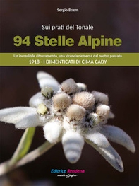 Sui prati del Tonale 94 stelle alpine. Un incredibile ritrovamento, una vicenda riemersa dal passato 1918. I dimenticati di Cima Cady - Librerie.coop
