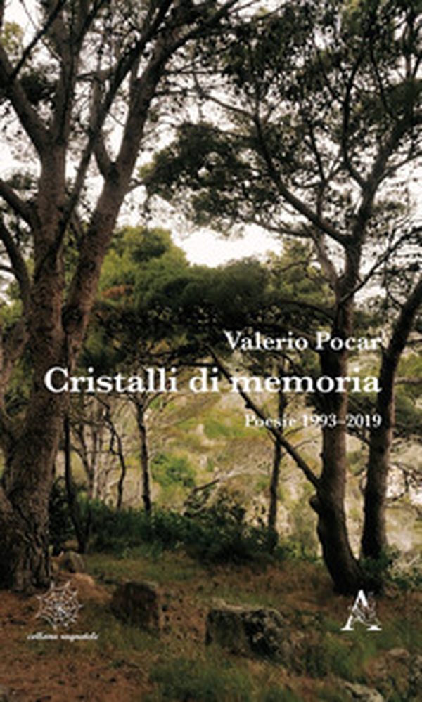 Cristalli di memoria. Poesie 1993-2019 - Librerie.coop Cristalli di memoria. Poesie 1993-2019 - Librerie.coop