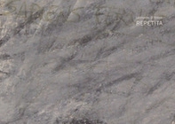 Leonardo D'Amico. Repetita - Librerie.coop