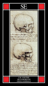 La metamorfosi degli animali - Librerie.coop