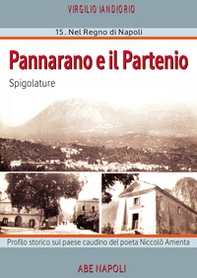 Pannarano e il Partenio: spigolature nel paese di Amenta che Caracciolo il galante teneva in signoria nel regno di Napoli - Librerie.coop Pannarano e il Partenio: spigolature nel paese di Amenta che Caracciolo il galante teneva in signoria nel regno di Napoli - Librerie.coop