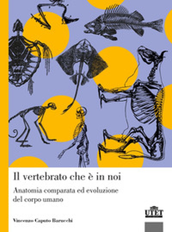 Il vertebrato che è in noi. Anatomia comparata ed evoluzione del corpo umano - Librerie.coop Il vertebrato che è in noi. Anatomia comparata ed evoluzione del corpo umano - Librerie.coop