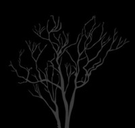 A lost place - Librerie.coop
