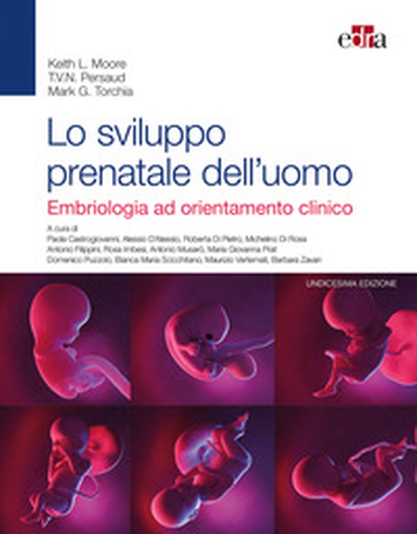 Lo sviluppo prenatale dell'uomo. Embriologia ad orientamento clinico - Librerie.coop Lo sviluppo prenatale dell'uomo. Embriologia ad orientamento clinico - Librerie.coop