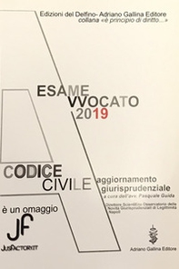 Esame avvocato 2019. Codice civile. Aggiornamento giurisprudenziale - Librerie.coop