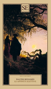 Le affinità elettive - Librerie.coop