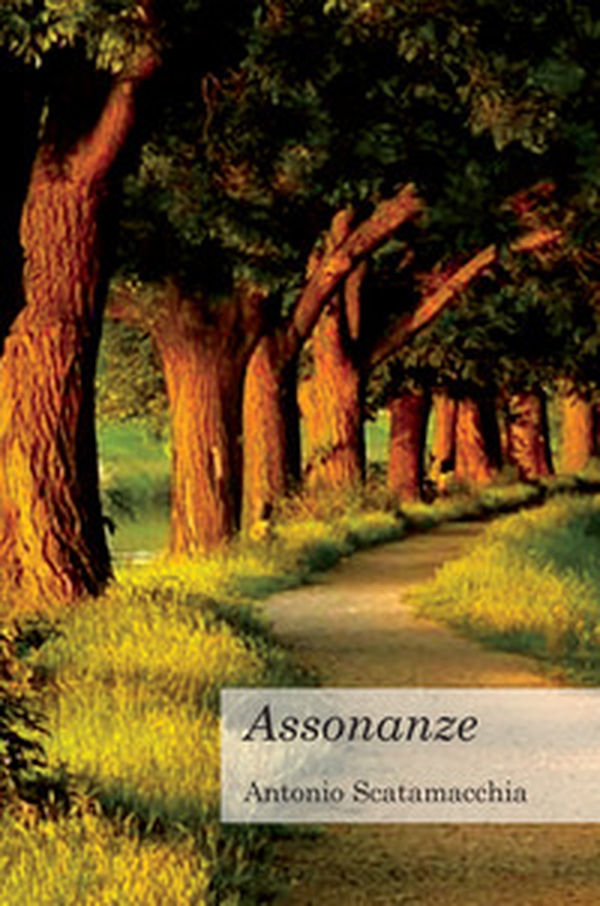 Assonanze - Librerie.coop Assonanze - Librerie.coop