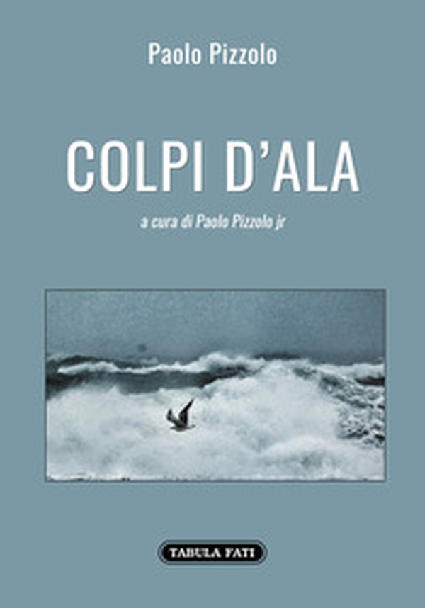 Colpi d'ala - Librerie.coop Colpi d'ala - Librerie.coop