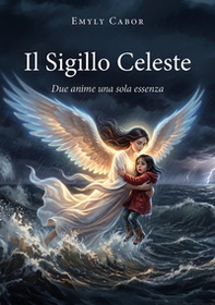 Il sigillo celeste. Due anime una sola essenza - Librerie.coop
