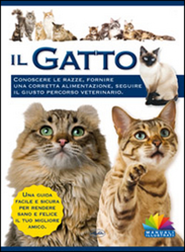 Il gatto - Librerie.coop Il gatto - Librerie.coop
