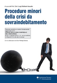 Procedure minori della crisi da sovraindebitamento. Percorso evolutivo e nozioni fondamentali aggiornate con il Codice della crisi d'impresa e dell'insolvenza - Librerie.coop