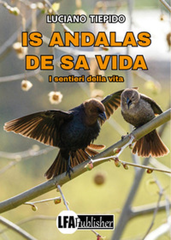 Is andalas de sa vida. I sentieri della vita - Librerie.coop Is andalas de sa vida. I sentieri della vita - Librerie.coop