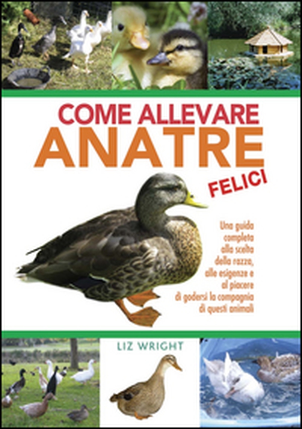 Come allevare anatre felici - Librerie.coop Come allevare anatre felici - Librerie.coop