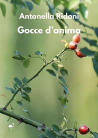 Gocce d'anima - Librerie.coop