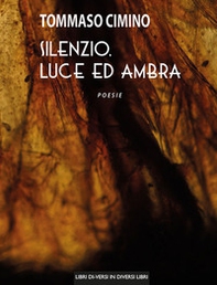 Silenzio, luce ed ambra - Librerie.coop