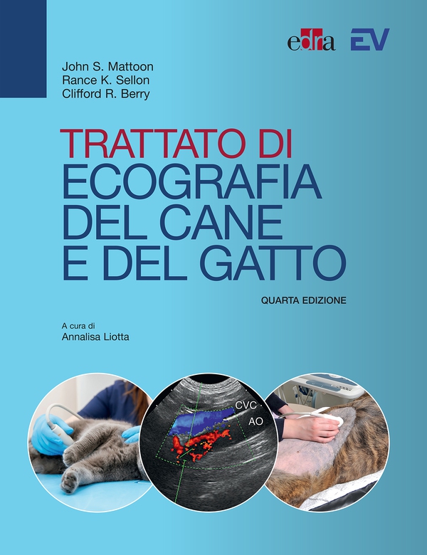 Trattato di ecografia del cane e del gatto - Librerie.coop Trattato di ecografia del cane e del gatto - Librerie.coop