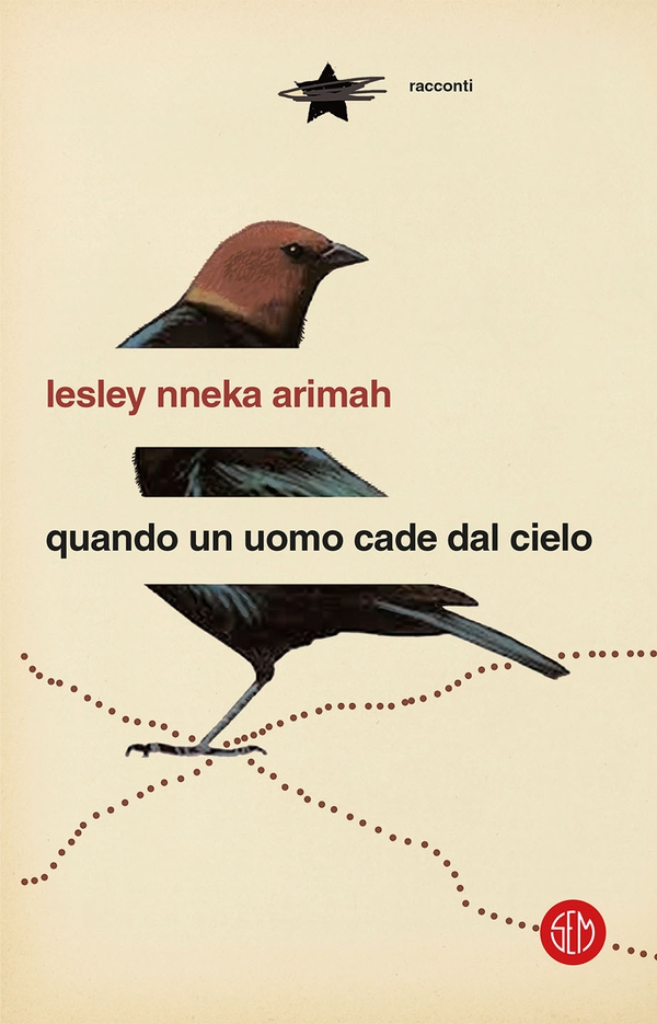 Quando un uomo cade dal cielo - Librerie.coop Quando un uomo cade dal cielo - Librerie.coop