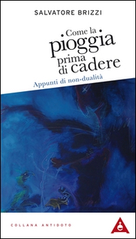 Come la pioggia prima di cadere. Appunti di non-dualità - Librerie.coop