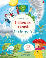Che tempo fa? Il libro dei perché - Librerie.coop