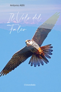 Il volo del falco - Librerie.coop