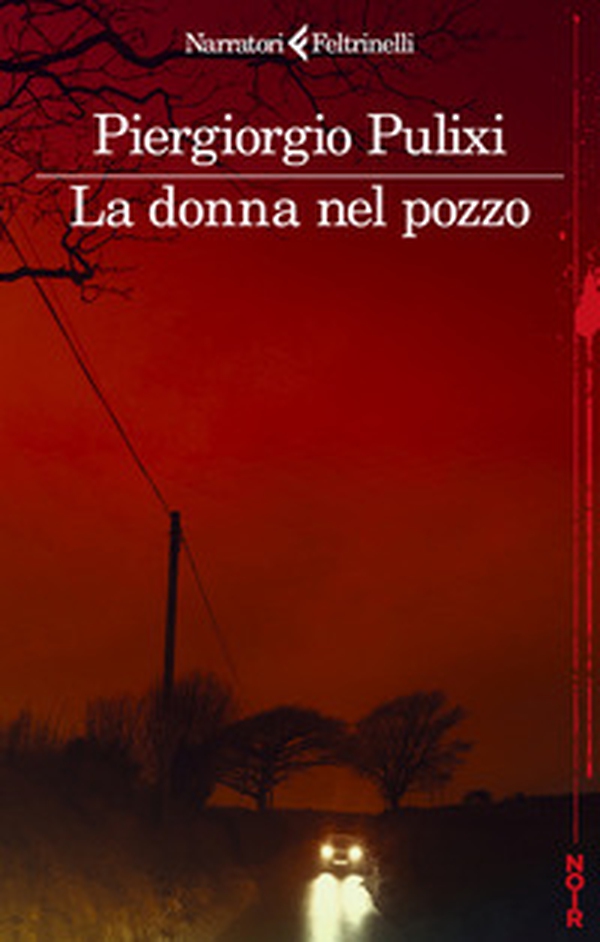 La donna nel pozzo - Librerie.coop La donna nel pozzo - Librerie.coop