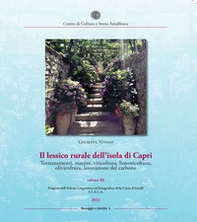 Il lessico rurale della Costiera Amalfitana. Terrazzamenti, macère, viticoltura, limonicoltura, olivicoltura, lavorazione del carbone - Vol. 3 - Librerie.coop