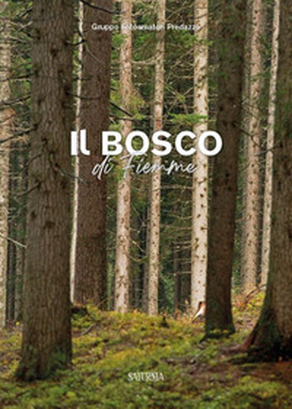 Il bosco di Fiemme - Librerie.coop Il bosco di Fiemme - Librerie.coop