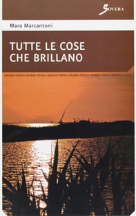 Tutte le cose che brillano - Librerie.coop