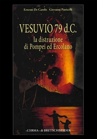 Vesuvio 79 d.C. - Librerie.coop