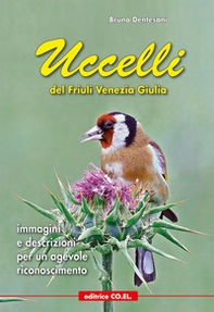 Uccelli del Friuli Venezia Giulia. Immagini e descrizioni per un agevole riconoscimento - Librerie.coop
