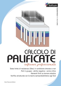 Calcolo di palificate. Software professional - Librerie.coop