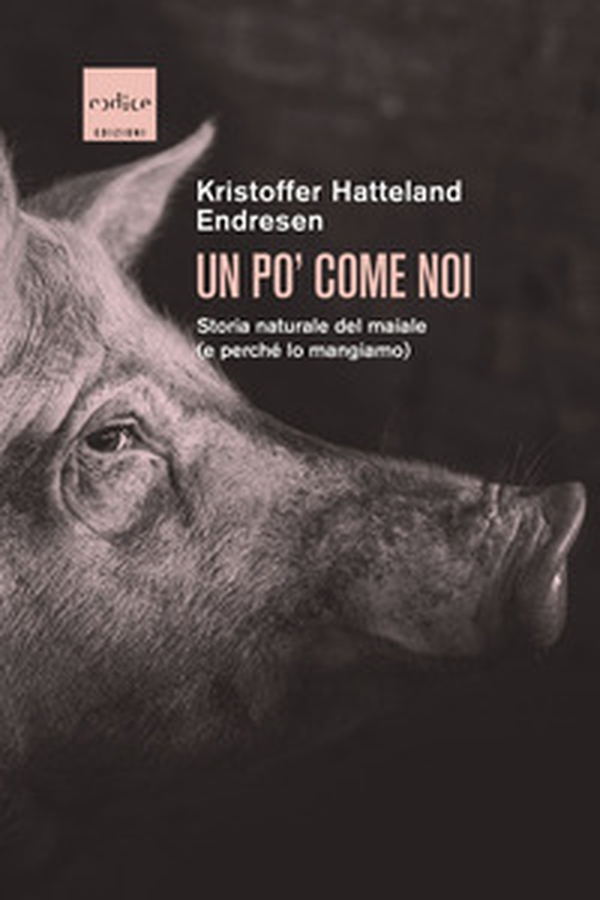 Un po' come noi. Storia naturale del maiale (e perché lo mangiamo) - Librerie.coop Un po' come noi. Storia naturale del maiale (e perché lo mangiamo) - Librerie.coop