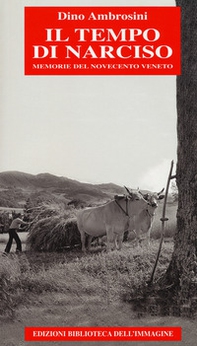 Il tempo di Narciso. Memorie del Novecento veneto - Librerie.coop