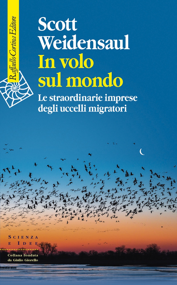 In volo sul mondo - Librerie.coop In volo sul mondo - Librerie.coop