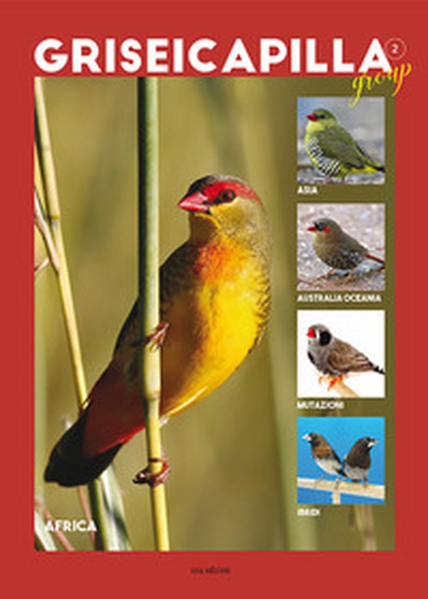 Griseicapilla Group - Librerie.coop Griseicapilla Group - Librerie.coop