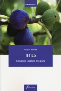 Il fico. Coltivazione e gestione della pianta - Librerie.coop