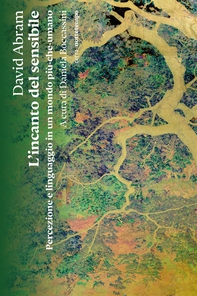 L'incanto del sensibile - Librerie.coop