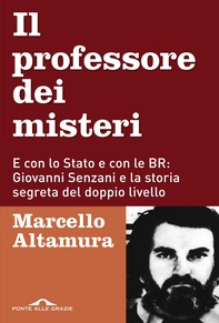 Il  professore dei misteri - Librerie.coop