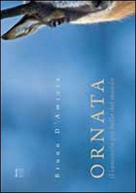 Ornata. Il camoscio più bello del mondo - Librerie.coop