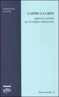 Capire la crisi. Approcci e metodi per le indagini sulla povertà - Librerie.coop