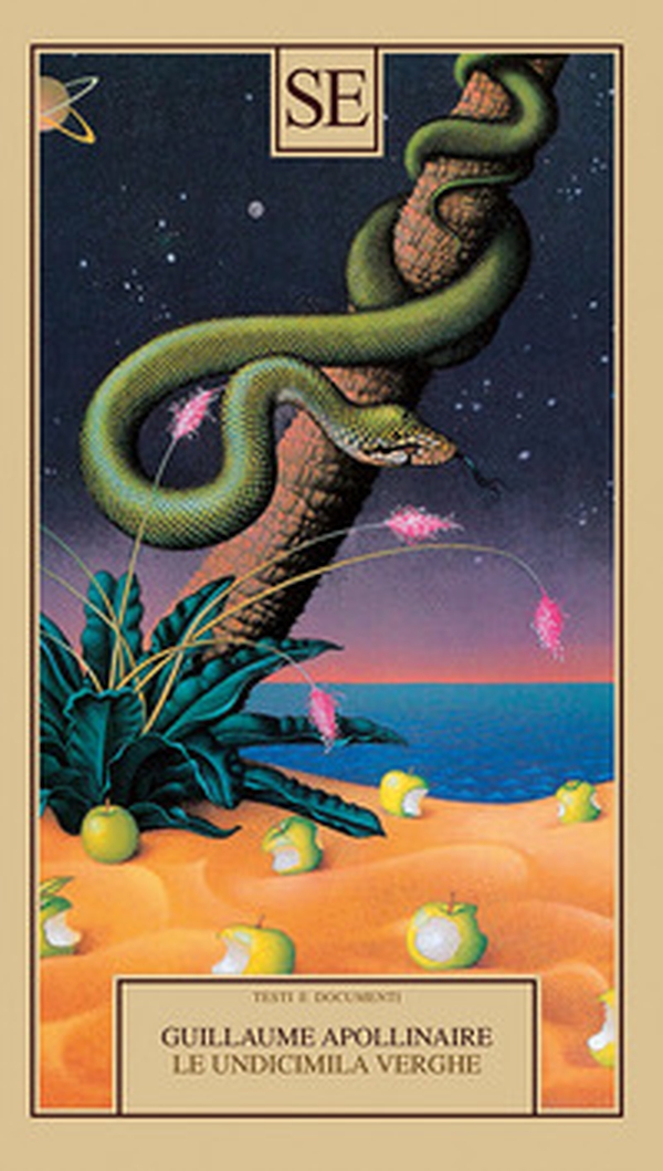 Le undicimila verghe - Librerie.coop