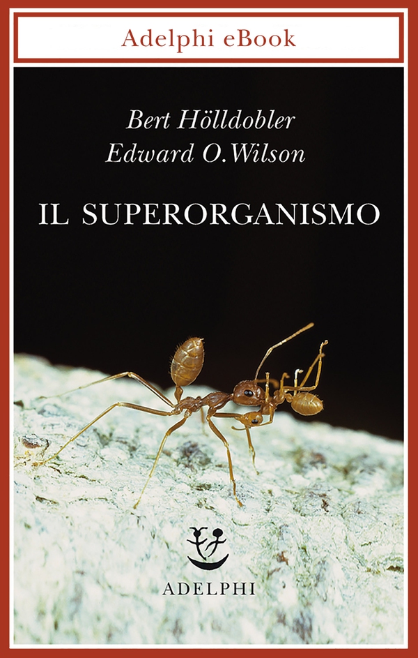 Il superorganismo - Librerie.coop Il superorganismo - Librerie.coop