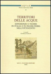 Territori delle acque. Esperienze e teorie in Italia e in Inghilterra nell'Ottocento - Librerie.coop