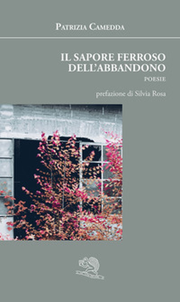 Il sapore ferroso dell'abbandono - Librerie.coop