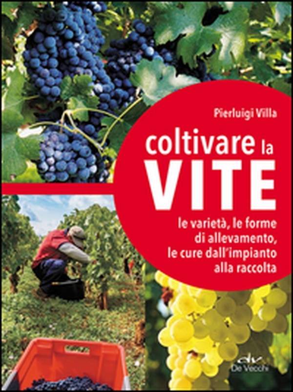 Coltivare la vite. Le varietà, le forme di allevamento, le cure dall'impianto alla raccolta - Librerie.coop Coltivare la vite. Le varietà, le forme di allevamento, le cure dall'impianto alla raccolta - Librerie.coop