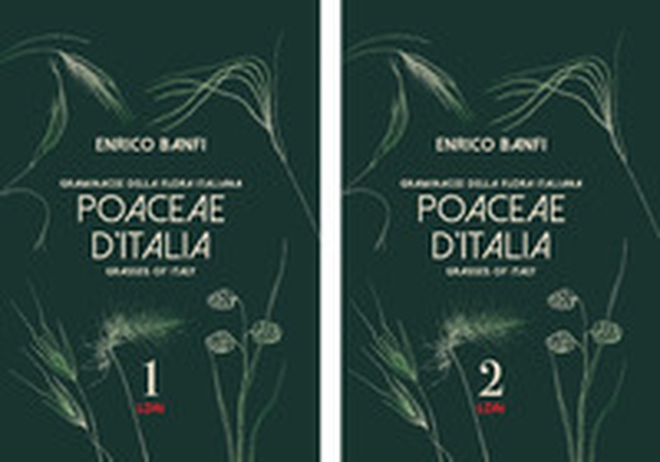 Poaceae d'Italia. Graminacee della flora italiana-Grasses of Italy - Librerie.coop