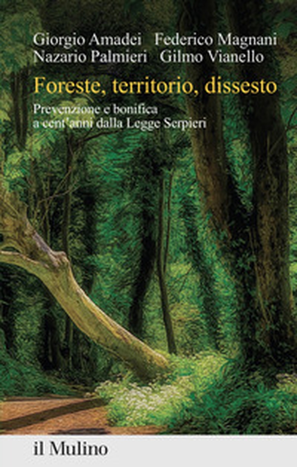 Foreste, territorio, dissesto. Prevenzione e bonifica a cent'anni dalla Legge Serpieri - Librerie.coop Foreste, territorio, dissesto. Prevenzione e bonifica a cent'anni dalla Legge Serpieri - Librerie.coop