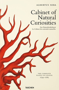 Albertus Seba. Cabinet of natural curiosities. Ediz. inglese, francese e tedesca - Librerie.coop